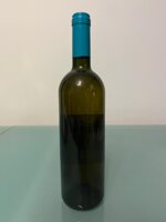 rossj-bass-2003-gaja