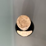 barbaresco-1974-americo-brovida