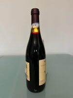 sfursat-2000-nino-negri