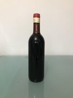 inferno-valtellina-superiore-1971-a-pelizzatti