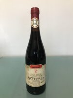 gattinara-vigneto-molsino-1982-nervi