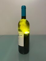 rossj-bass-2003-gaja