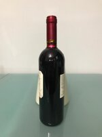 rebo-2005-giovanni-poli