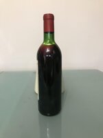 luch-1971-guy-de-fleurieu-chateau-de-luch