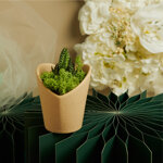 claraluna-2026-vasetto-marrone-cuore-con-piantina-e-muschio-8x76x86-26012