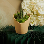 claraluna-2026-vasetto-marrone-cuore-con-piantina-e-muschio-98x95x96-26014