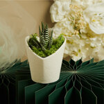 claraluna-2026-vasetto-bianco-cuore-con-piantina-e-muschio-98x95x96-26013