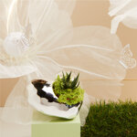 claraluna-2025-vaso-argento-con-piantina-14x12x6-25144