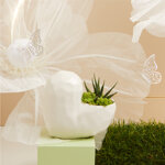 claraluna-2025-vaso-bianco-con-piantina-13x7x12-25145