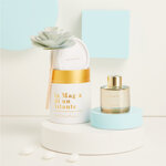 claraluna-2025-diffusore-piccolo-grigio-dm45x6-con-fiore-25155f