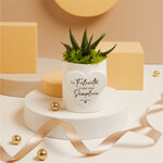 claraluna-2025-vasetto-con-piantina-e-muschio-dm-7x8-25335