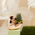 claraluna-2025-vaso-oro-rosa-con-piantina-13x7x12-25141