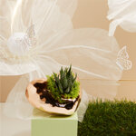 claraluna-2025-vaso-oro-rosa-con-piantina-14x12x6-25142