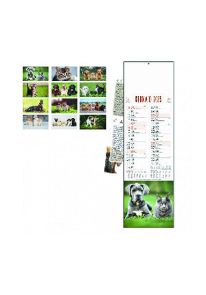 calendario-cane-e-gatti