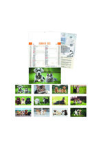 calendario-cani-e-gatti