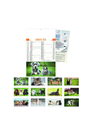 calendario-cani-e-gatti