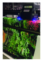 adesivi-al-mq-per-grafici