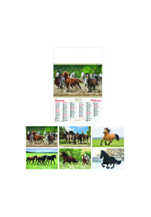 calendario-cavalli