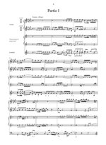 jpachelbel-musikalische-ergotzung-nurnberg-sa