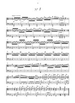 abbruni-50-capricci-ms-i-brc