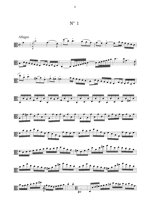 fahoffmeister-studi-leipzig-inizio-xix-sec