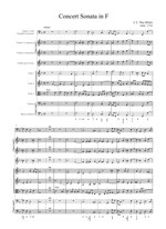 jcpetz-concert-sonata-in-fa-maggiore