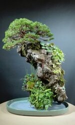 ishizuki-02-no-spedizione