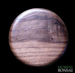 jita-in-noce-canaletto-001