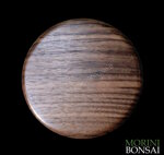 jita-in-noce-canaletto-005