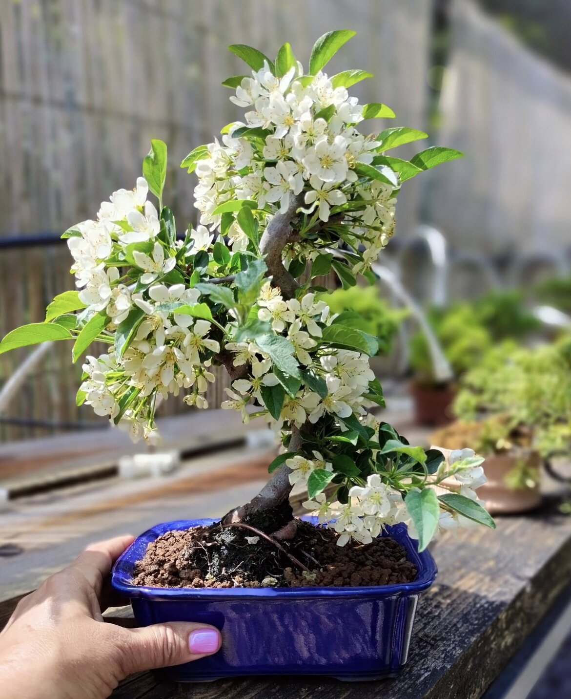 907c0683-4678-4747-ba8a-3e2db1aa7ee7