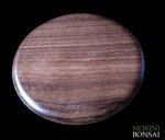 jita-in-noce-canaletto-010