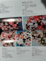 enciclopedia-azalea-satsuki-books002