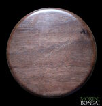 jita-in-noce-canaletto-004