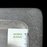 tokoname-eiraku-master-itsuo-takeuchi-vintage-jg498