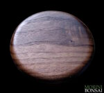 jita-in-noce-canaletto-001