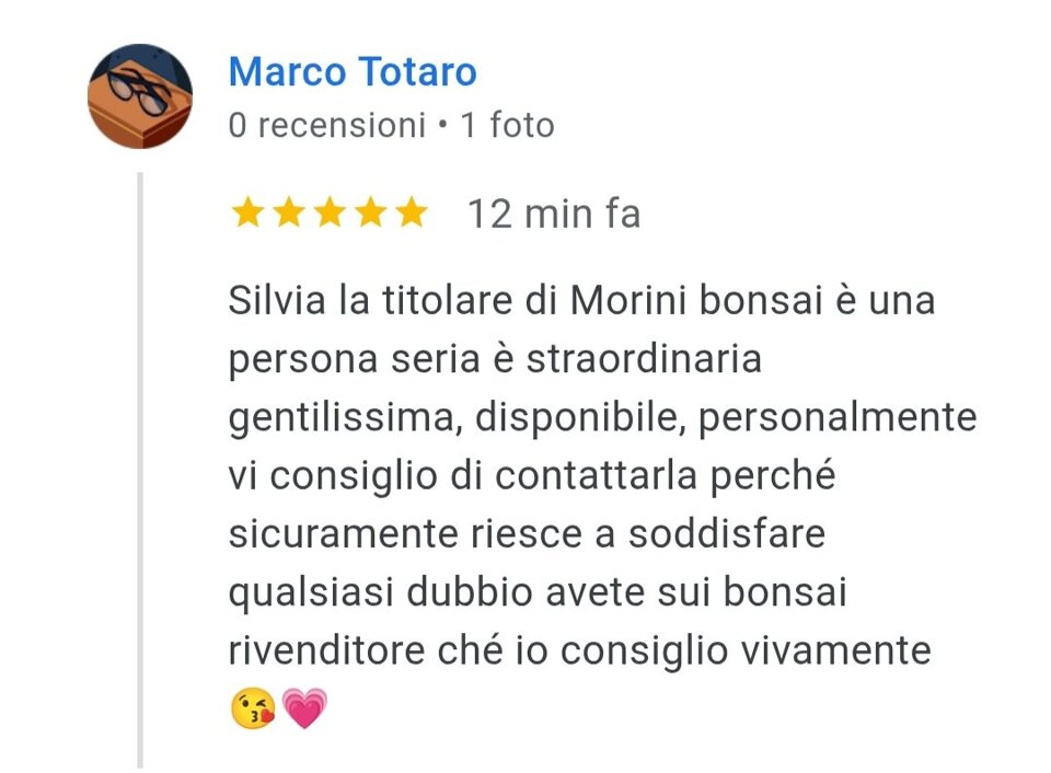 recensioni.jpeg recensioni.jpeg