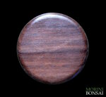 jita-in-noce-canaletto-009