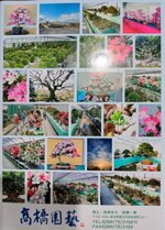 enciclopedia-azalea-satsuki-books002