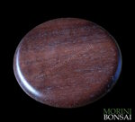 jita-in-noce-canaletto-002