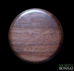 jita-in-noce-canaletto-002