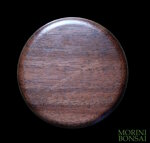 jita-in-noce-canaletto-010