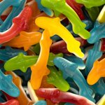 sacchetto-di-gelatina-di-squalo-da-1-kg