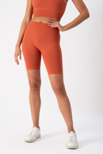 biker-one-block-brick