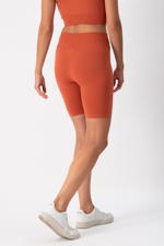 biker-one-block-brick