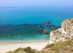 21226_135079410016143_1170868998_n.jpeg 21226_135079410016143_1170868998_n.jpeg