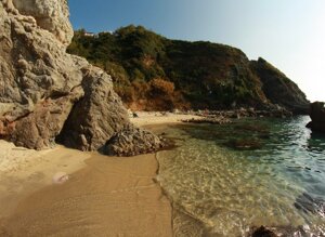 29534_126460867368599_2801388_n.jpeg 29534_126460867368599_2801388_n.jpeg