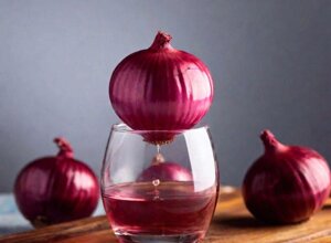 600229_656148911066625_1945034379_n.jpeg 600229_656148911066625_1945034379_n.jpeg