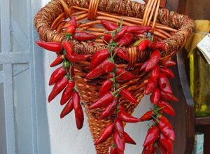 467371_347246845333317_348955781_o.jpeg 467371_347246845333317_348955781_o.jpeg