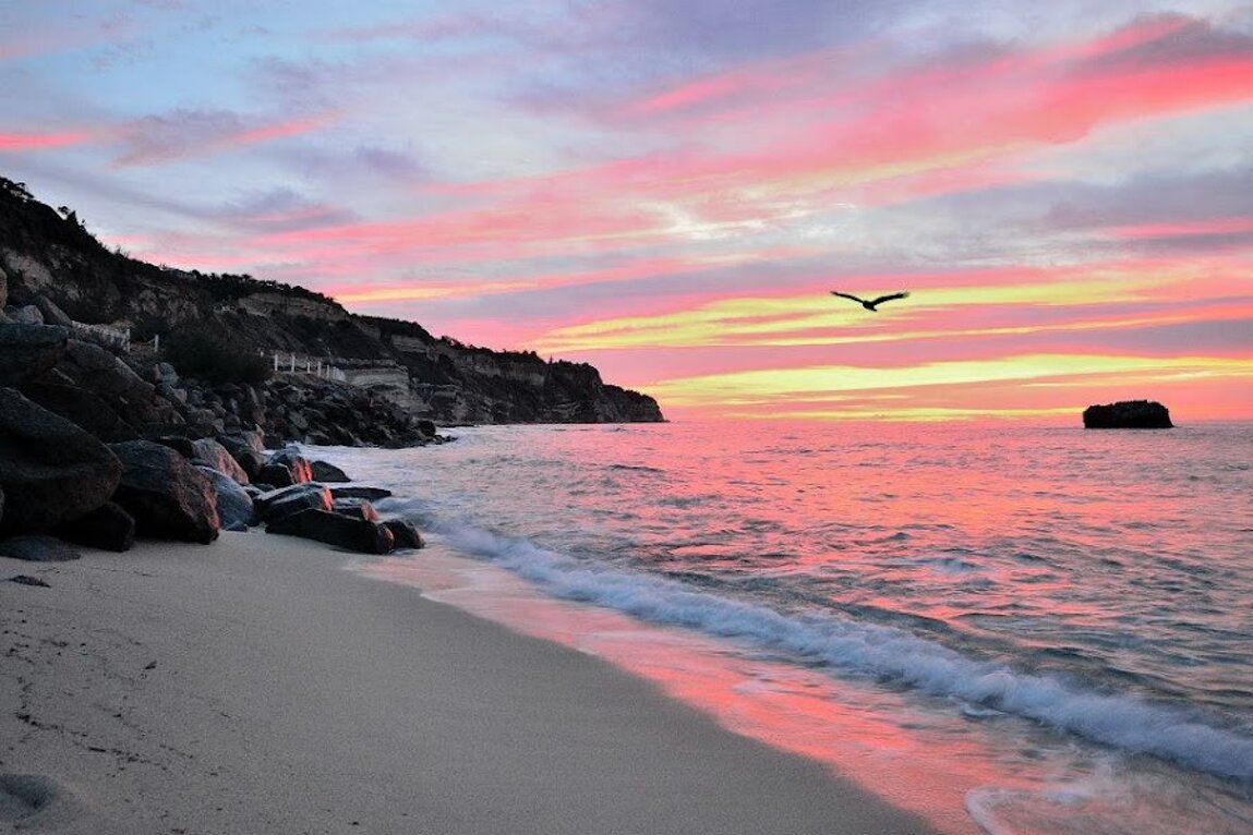 484678_585889354777448_1406022540_n.jpeg 484678_585889354777448_1406022540_n.jpeg