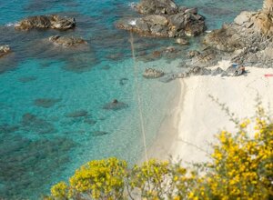 164415_512871052088126_773014450_n.jpeg 164415_512871052088126_773014450_n.jpeg